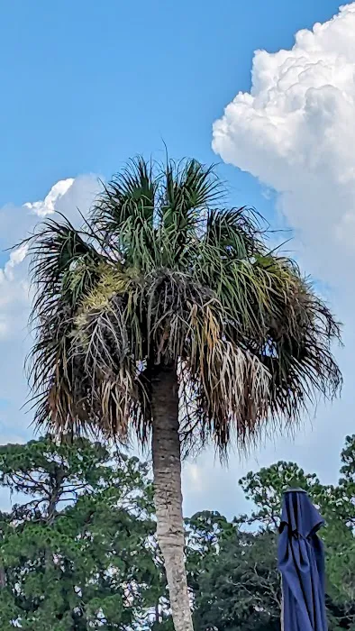 Mid Florida Lakes Picture 8