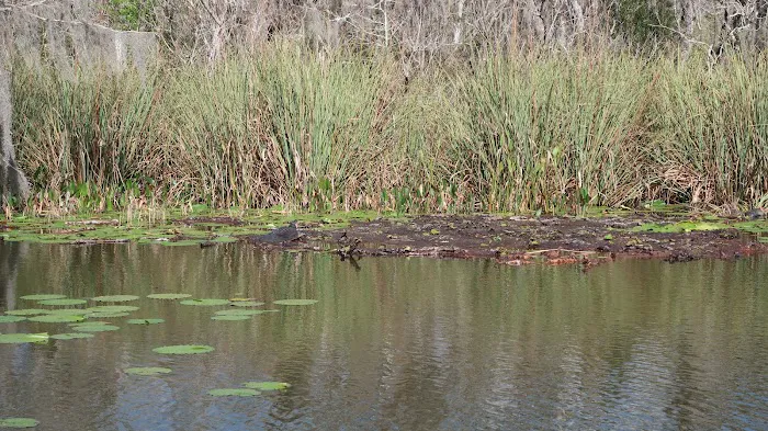 Mid Florida Lakes Picture 6