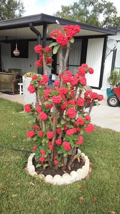 Midway Manor RV Park(55+) Picture 1