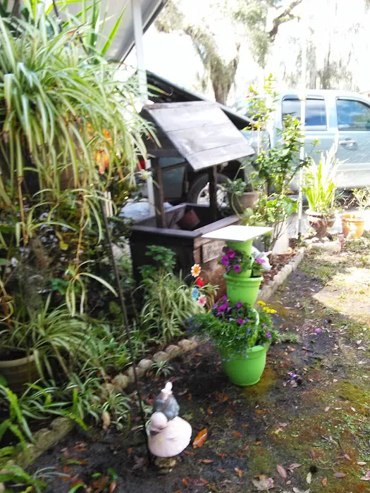 Tara Village Picture 5
