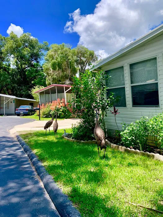 Land O' Lakes Mobile Home Community Picture 3