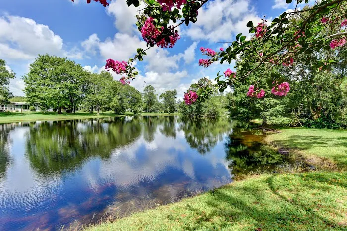 Lake Helen Villa Picture 7