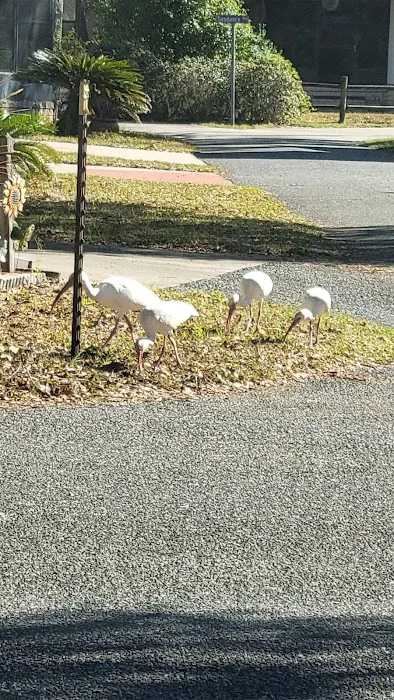 Sunshine Mobile Home Park Picture 5