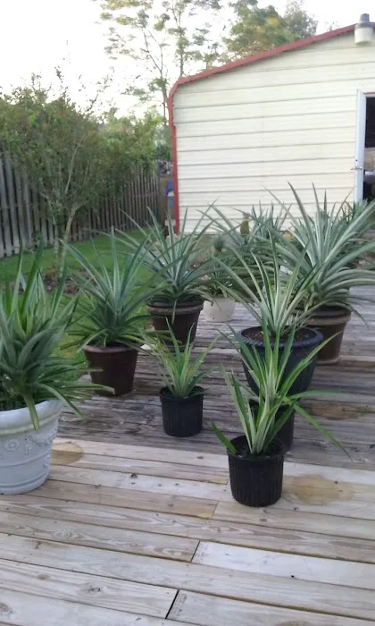 Sunshine Mobile Home Park Picture 8