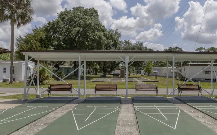 Lake Griffin Isles Picture 8