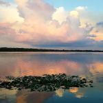 Harbor Oaks Homeowners Co-Op