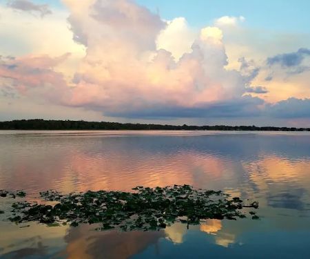 Harbor Oaks Homeowners Co-Op