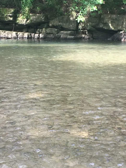 Creekside RV Park Picture 5