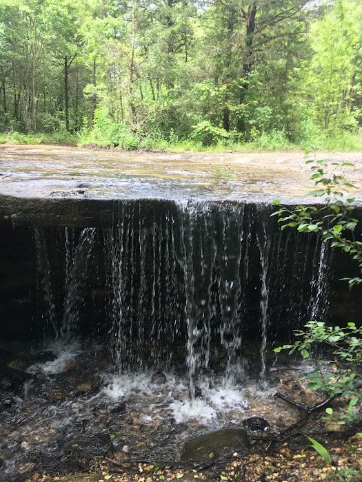 Creekside RV Park Picture 6