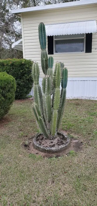 Fort Cooper Mobile Home Comm Picture 3