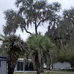 Fort Cooper Mobile Home Comm