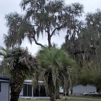 Fort Cooper Mobile Home Comm ico