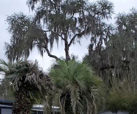 Fort Cooper Mobile Home Comm