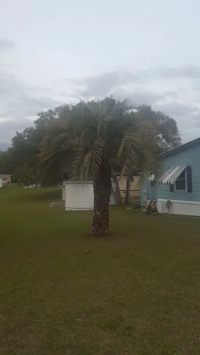 Fort Cooper Mobile Home Comm Picture 9