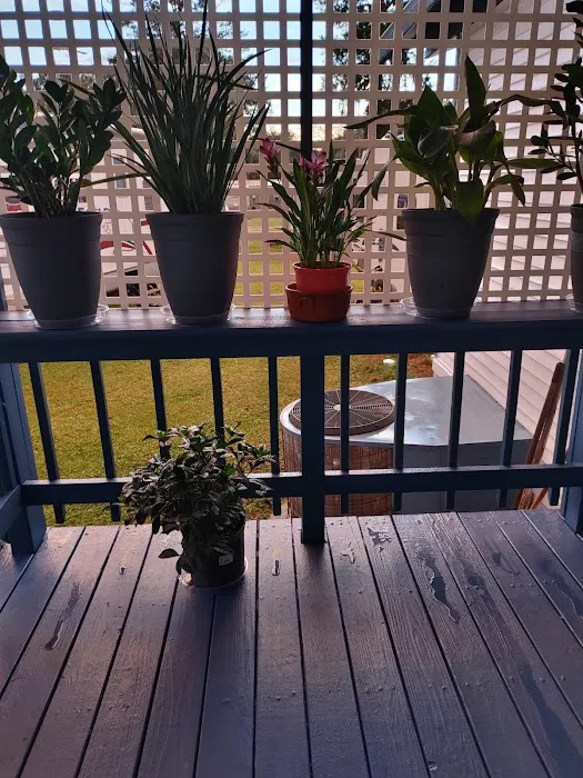 Oasis Mobile Home & RV Park Picture 9