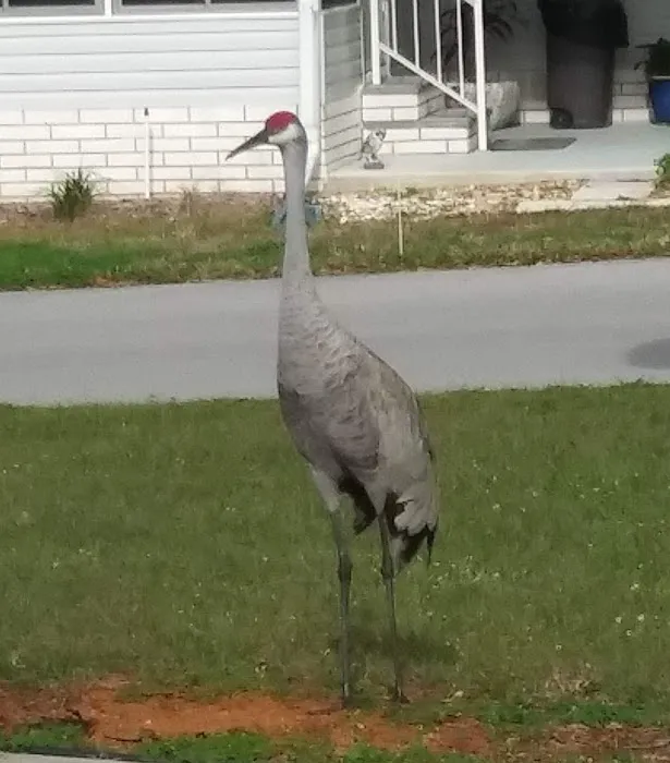 Stoneridge Landing Picture 4