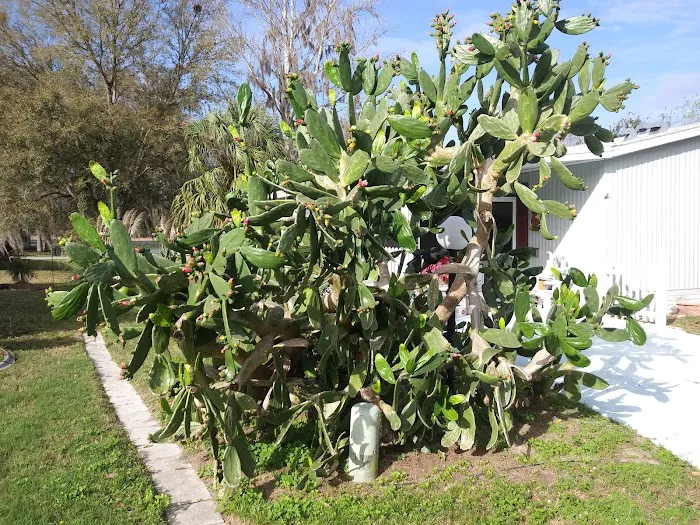 Stoneridge Landing Picture 10