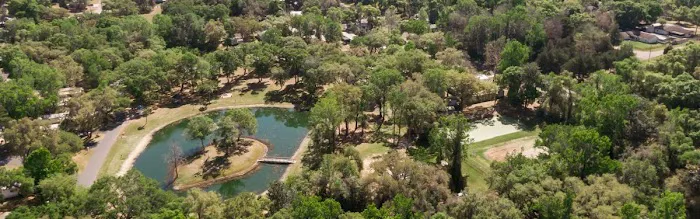 Bedrock Singing Forest Picture 10