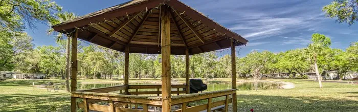 Bedrock Singing Forest Picture 5