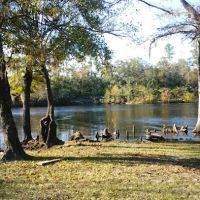 St Mary's River Campground LLC ico
