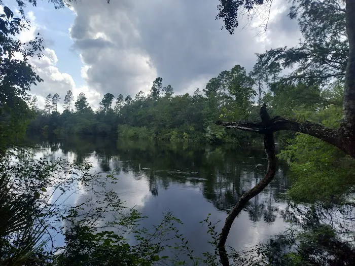 St Mary's River Campground LLC Picture 3