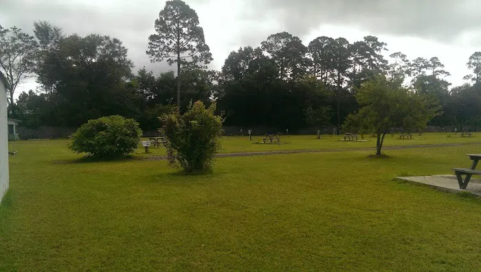 Okefenokee RV Park Picture 5