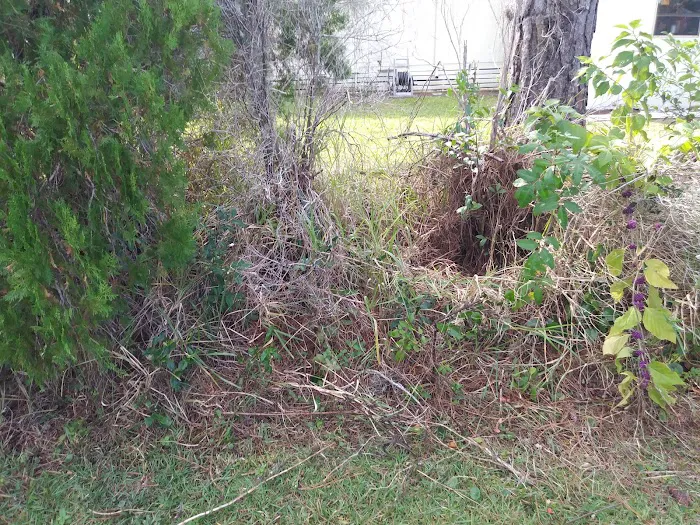 Holiday Village - Ormond Beach Picture 4