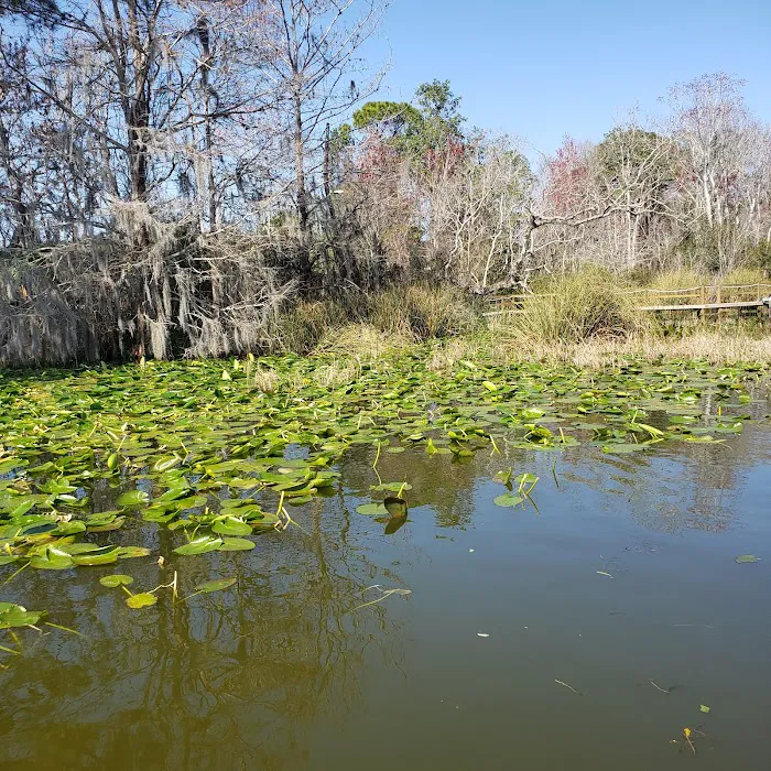 Shady Oaks RV Park Picture 5