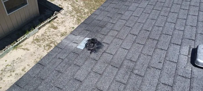 Shady Oaks RV Park Picture 6