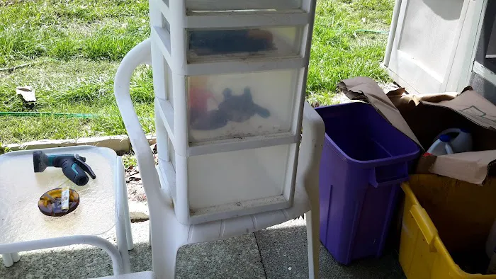 Shady Oaks RV Park Picture 9