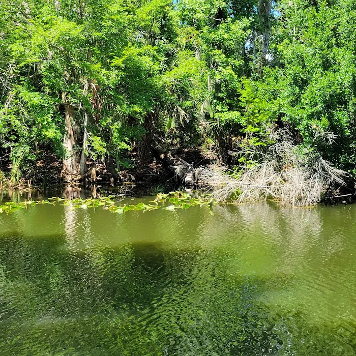 Haines Creek RV Village (55+) Picture 2