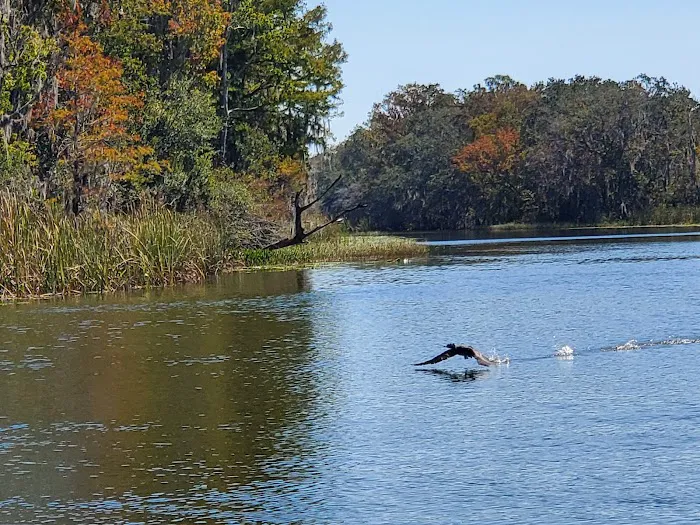 Haines Creek RV Village (55+) Picture 1