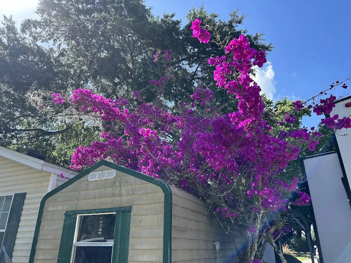 Haines Creek RV Village (55+) Picture 9