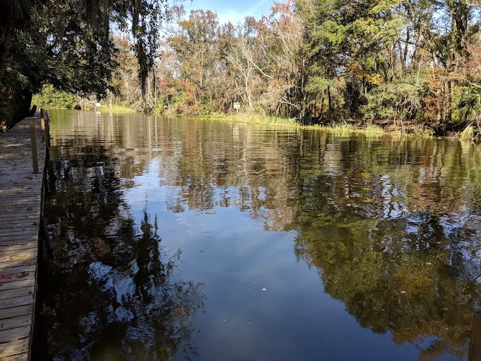 Haines Creek RV Village (55+) Picture 5