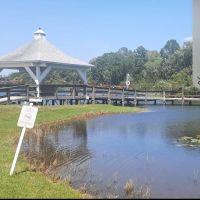 Lake Frances Estates ico