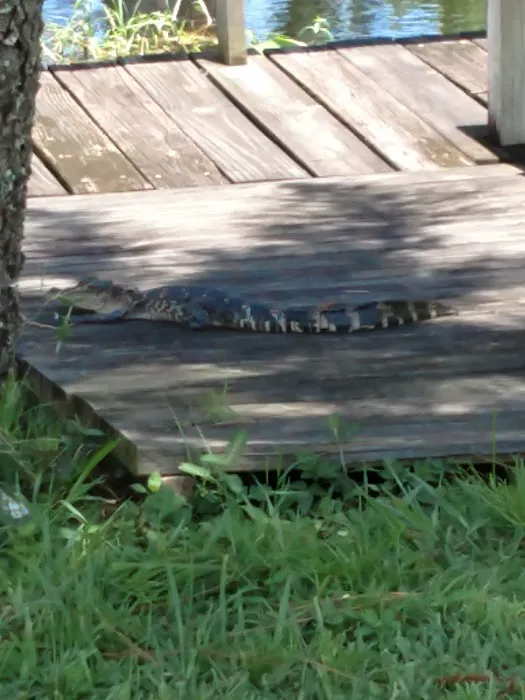 Lake Saunders RV Resort Picture 5