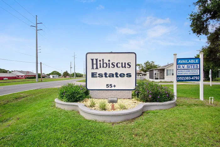 Hibiscus Picture 5