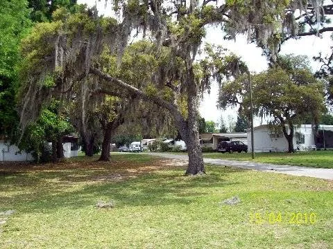 Three Palms Mobile Home Park Picture 1