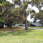 Three Palms Mobile Home Park