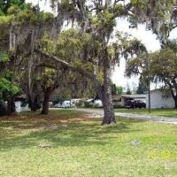 Three Palms Mobile Home Park ico