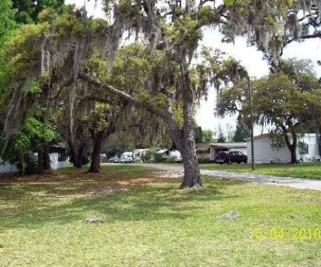 Three Palms Mobile Home Park