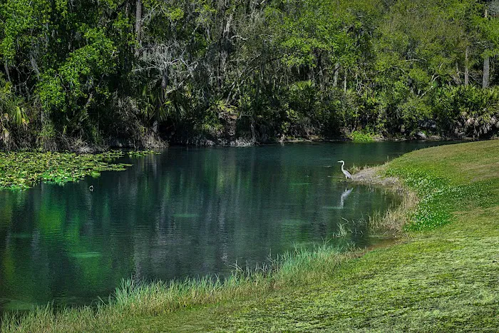 Wekiva Falls RV Resort Picture 5