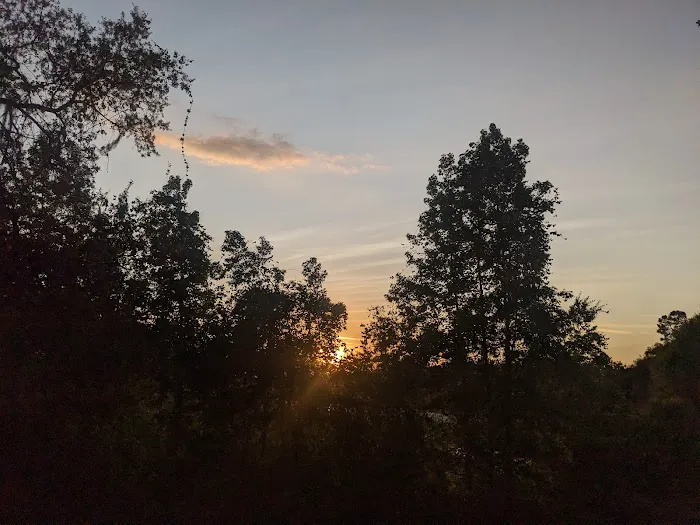 Twelve Oaks RV Resort Picture 6