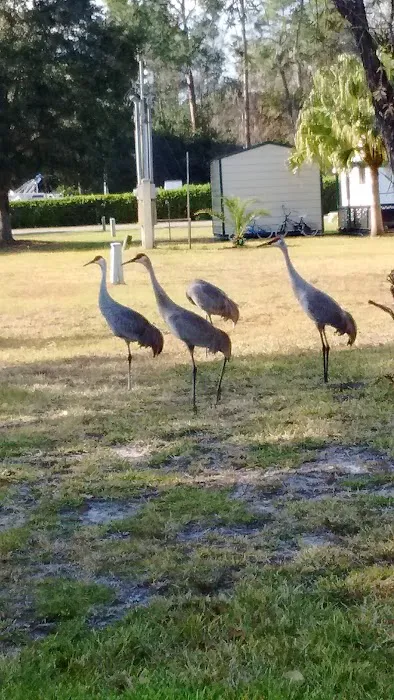 Lake Ashby Mobile Home Park Picture 4