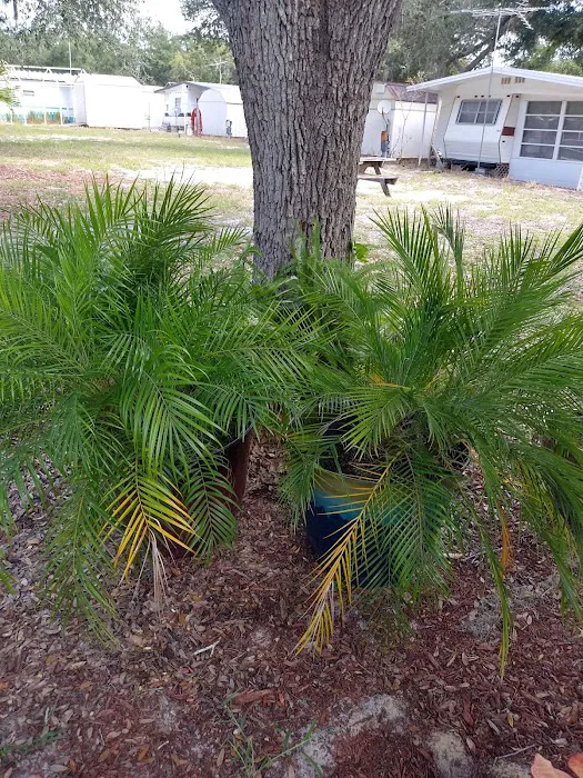 Paradise Lakes MH & RV Picture 3