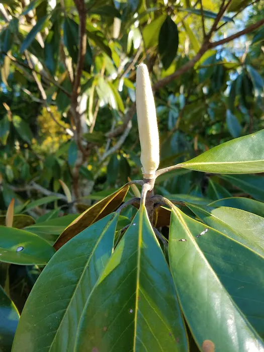 Paradise Lakes MH & RV Picture 9