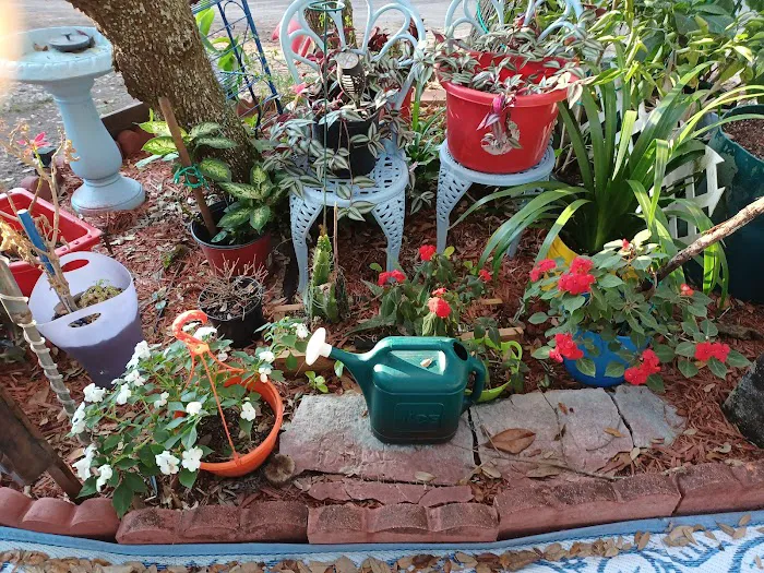 Paradise Lakes MH & RV Picture 7