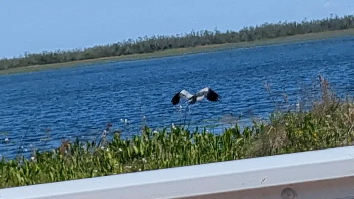 Lake Deaton RV Park Picture 6