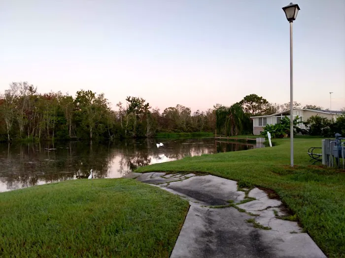 Coachwood Colony Picture 6