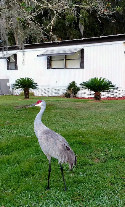 Coachwood Colony Picture 1